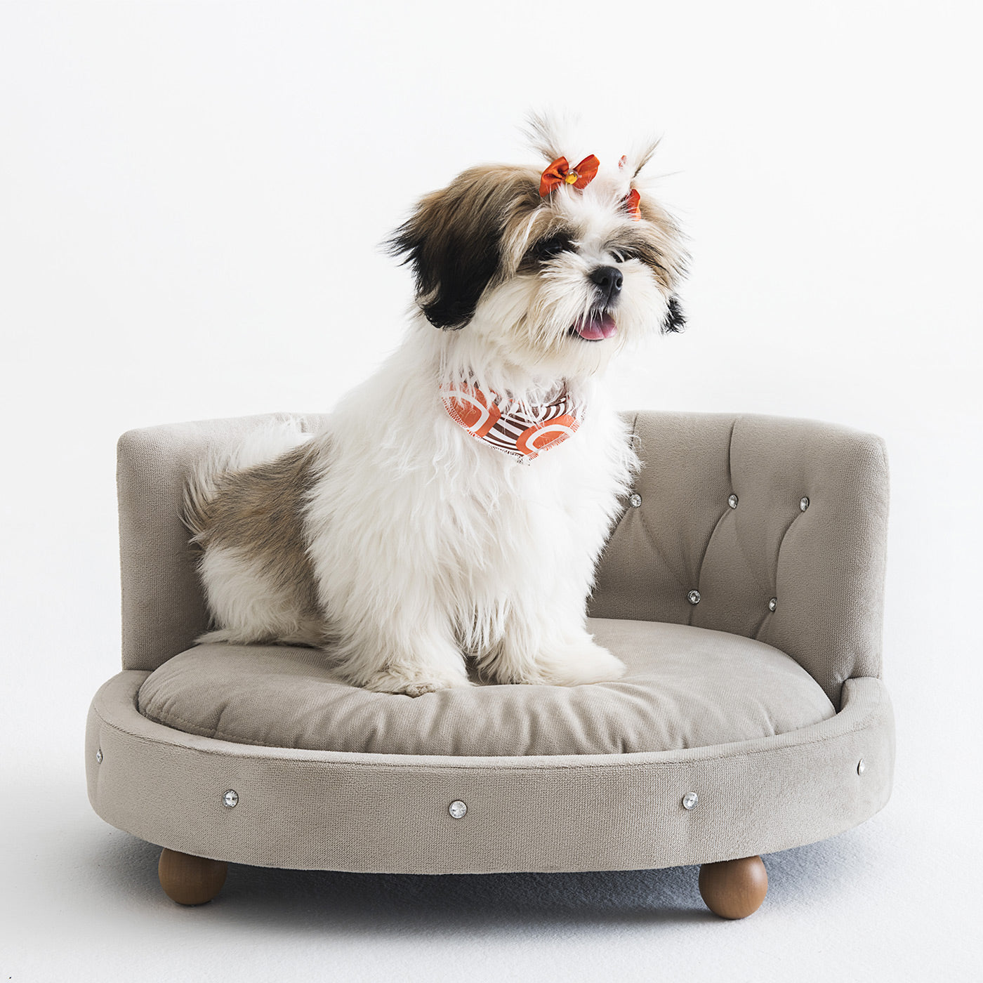 Chaise Pet